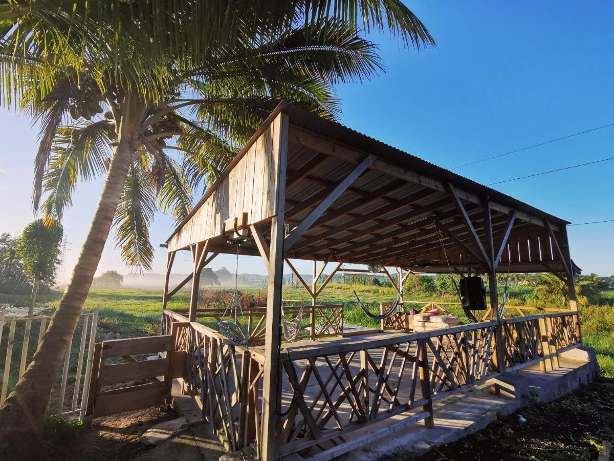 Ride In Youth And Surf Center Morne-a-l'Eau Esterno foto